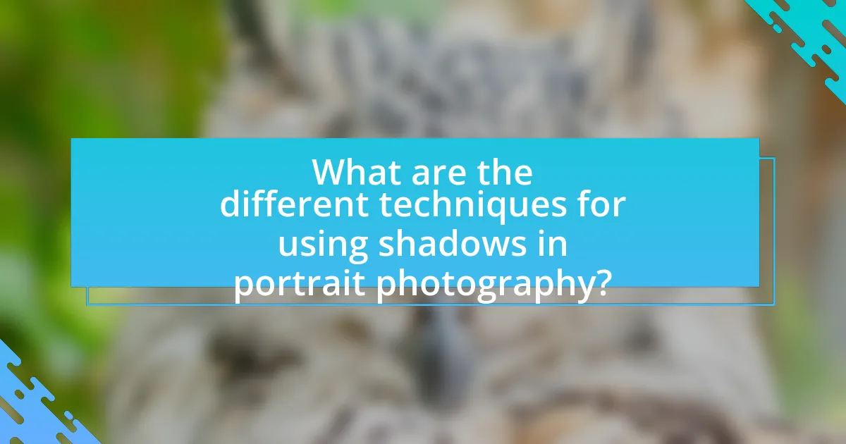 What are the different techniques for using shadows in portrait photography?