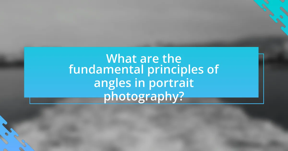 What are the fundamental principles of angles in portrait photography?