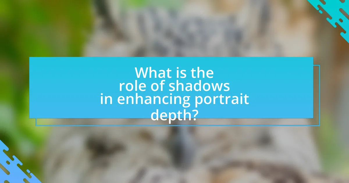 What is the role of shadows in enhancing portrait depth?