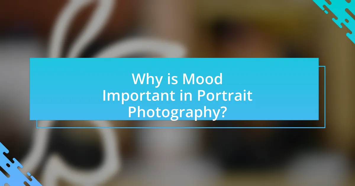 Why is Mood Important in Portrait Photography?